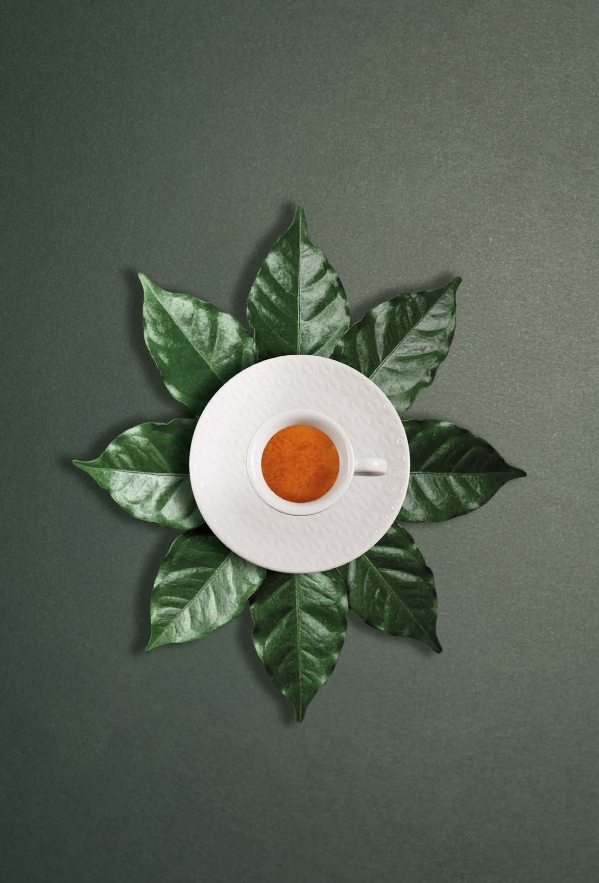Latte Art as a Visual Marketing Tool